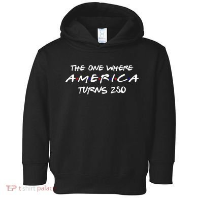 The One Where America Turns 250 Years Toddler Hoodie
