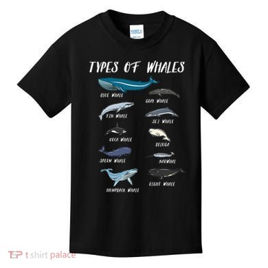 Types Of Whales Ocean Science Marine Biologist Teacher Kids T-Shirt