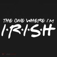 The One Where Im Irish Funny St Patricks Day Toddler Hoodie thumb 2