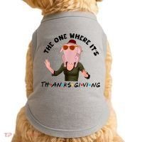 The One Where It's Thanksgiving Friends Monica Turkey Head Doggie Tank thumb 0