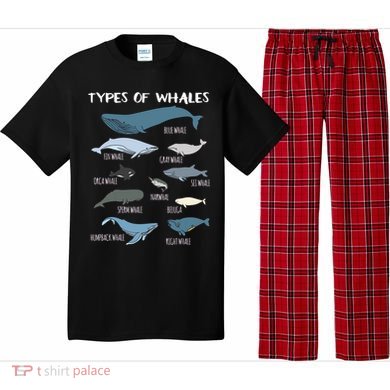 Types Of Whales Cute Ocean Mammals Guide Pajama Set