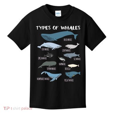 Types Of Whales Cute Ocean Mammals Guide Kids T-Shirt