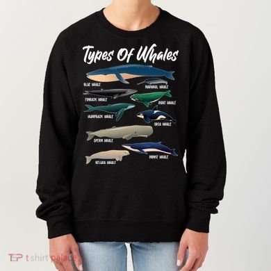 Types Of Whales Women's Sweatshirt