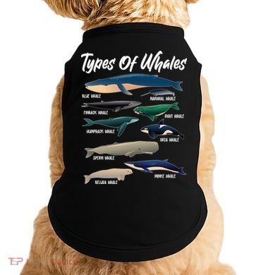 Types Of Whales Doggie Tank