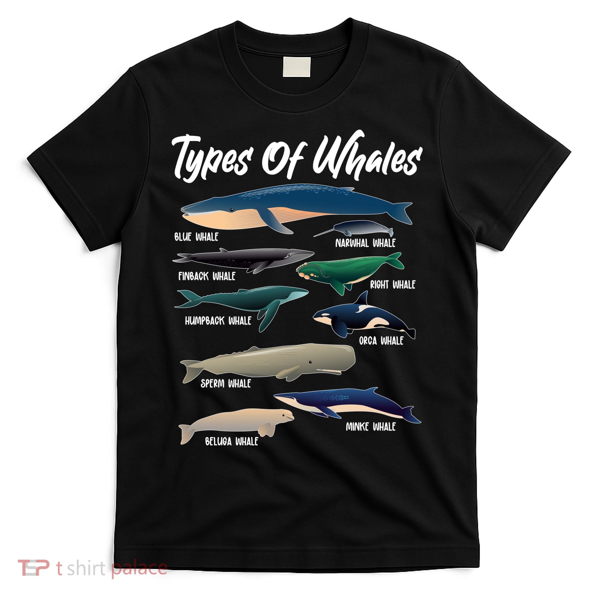 Types Of Whales T-Shirt