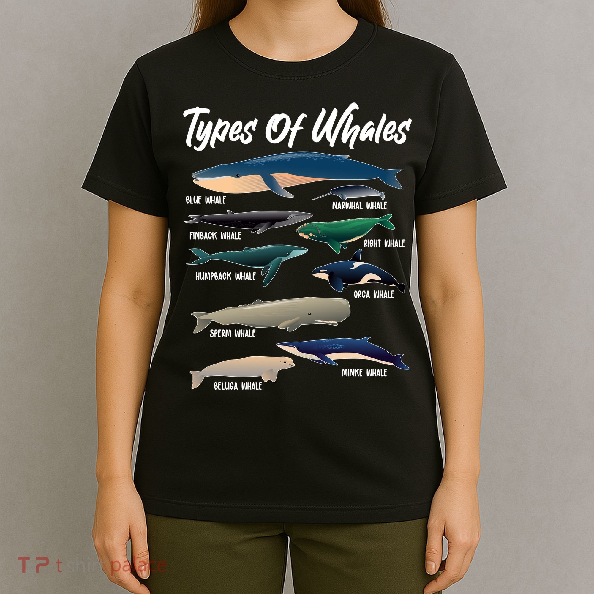 Types Of Whales T-Shirt