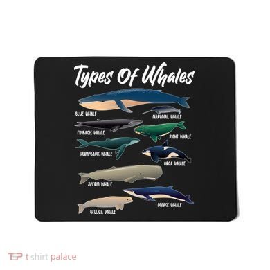 Types Of Whales Mousepad
