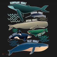 Types Of Whales Save The Whales T-Shirt thumb 7