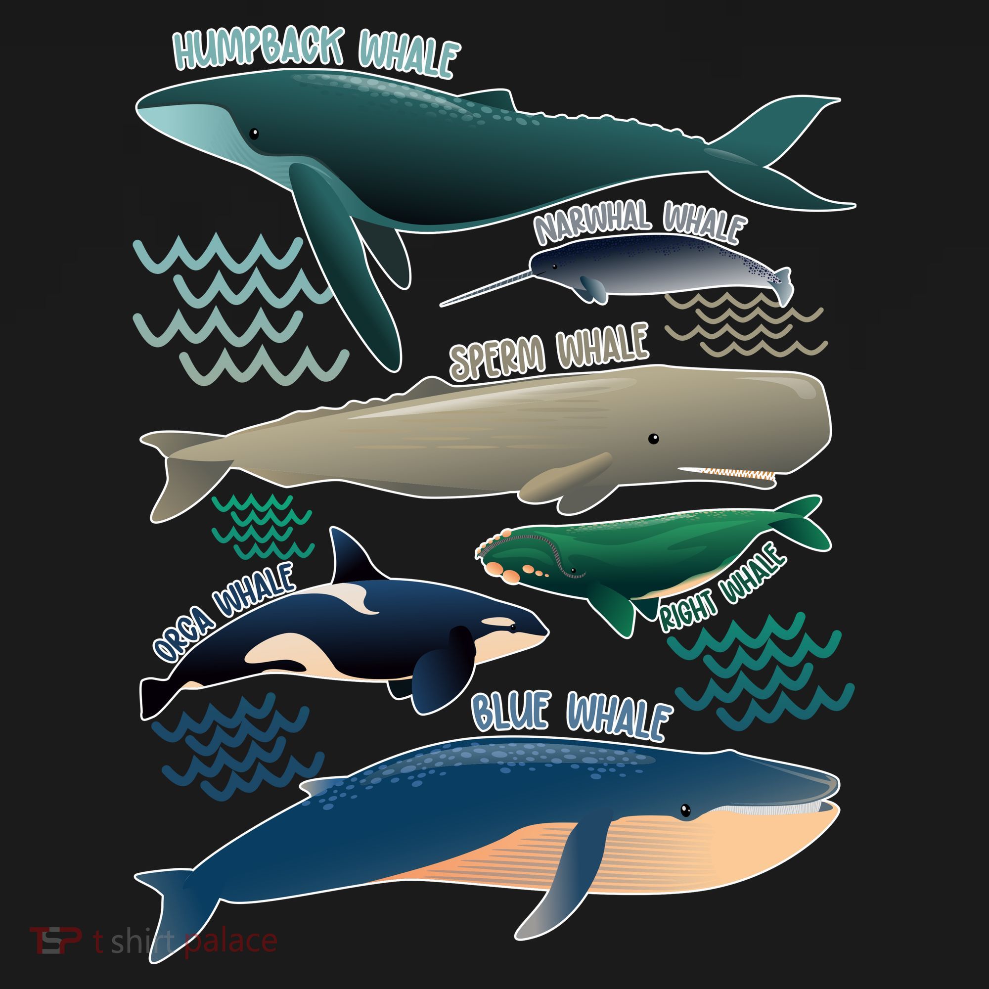 Types Of Whales Save The Whales T-Shirt