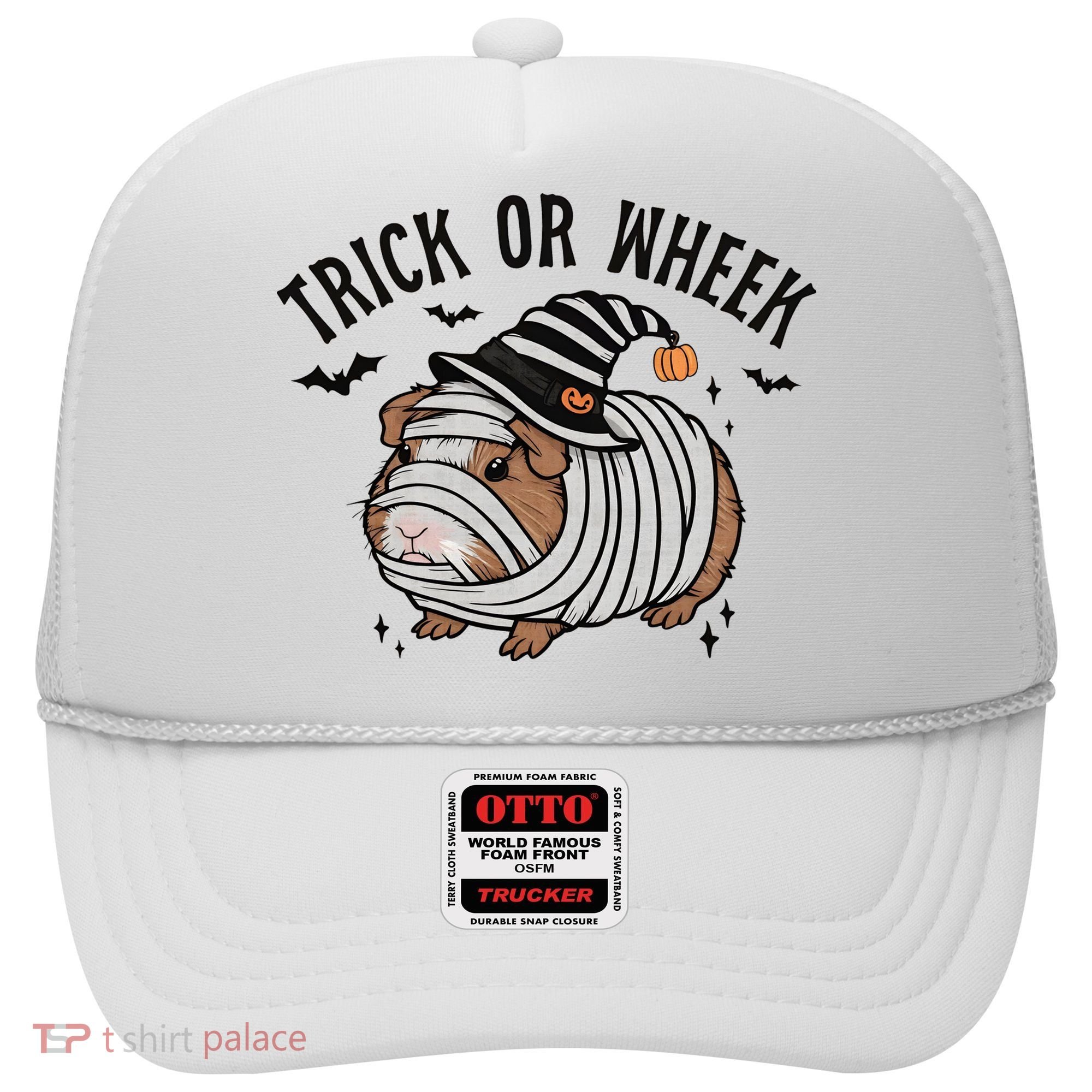 Trick Or Wheek Halloween Guinea Pig Hat