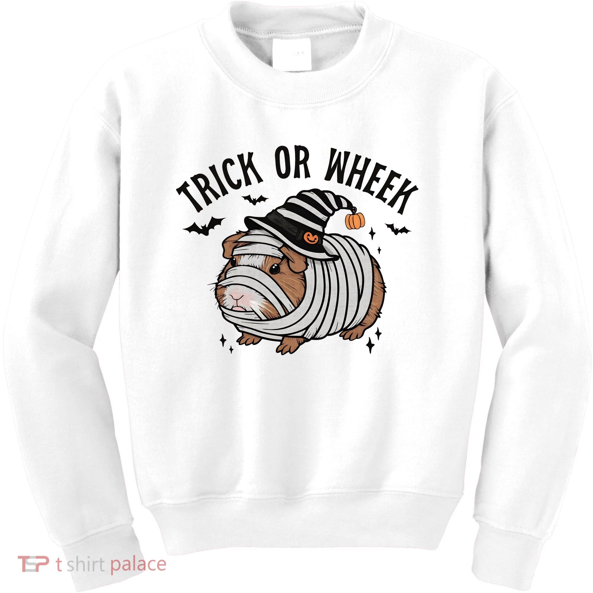 Trick Or Wheek Halloween Guinea Pig Kids Sweatshirt