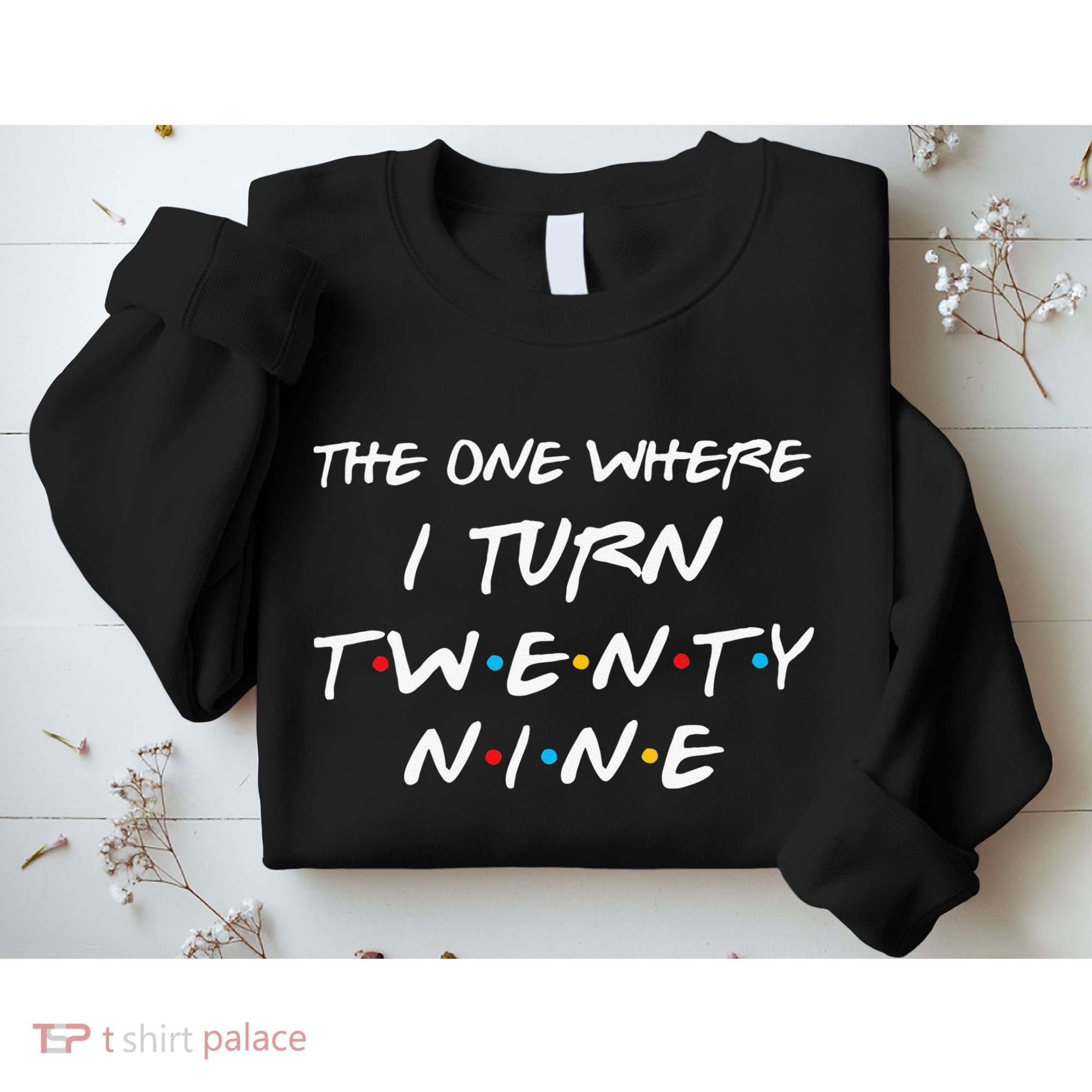 The One Where I Turn Twenty Nine Funny 29th Birthday Gift Sweatshirt