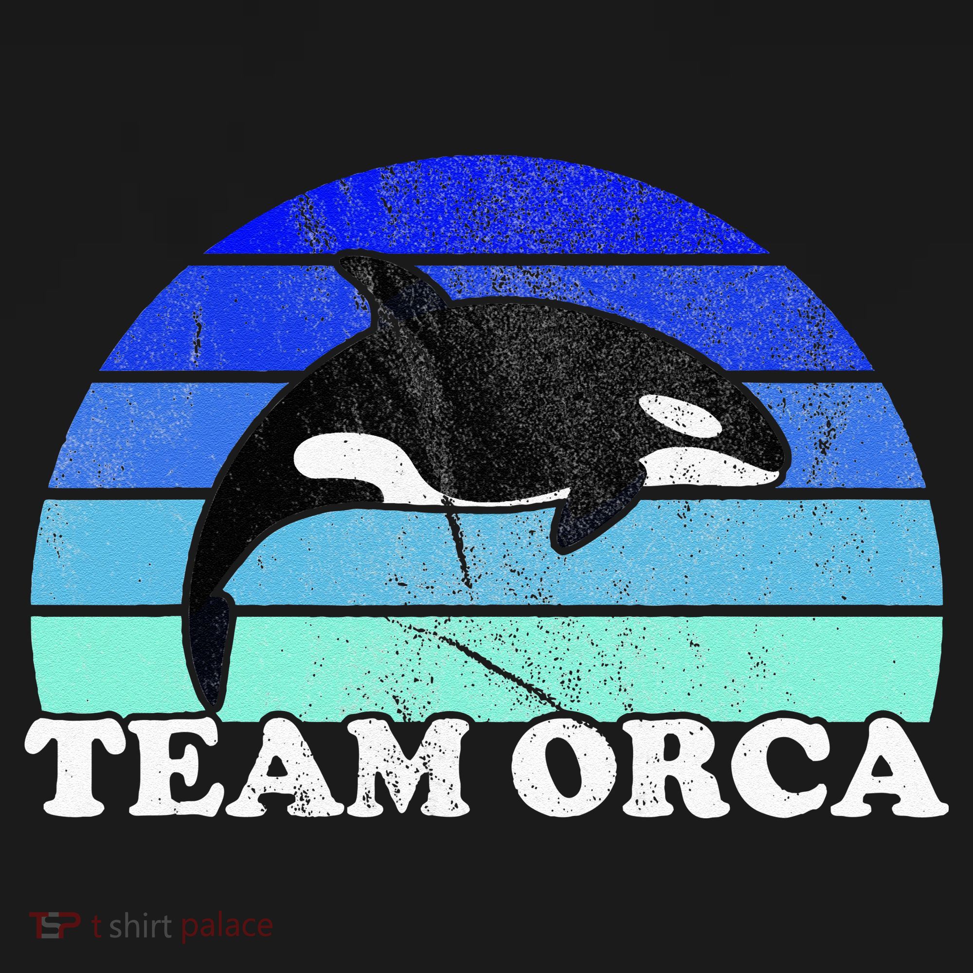 Team Orca Whale Orcas Sea Ocean Retro Sunset Kids Sweatshirt