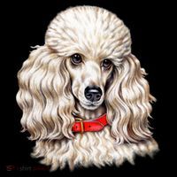 Toy Poodle Women's Tank Top thumb 5