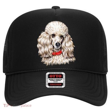 Toy Poodle Hat