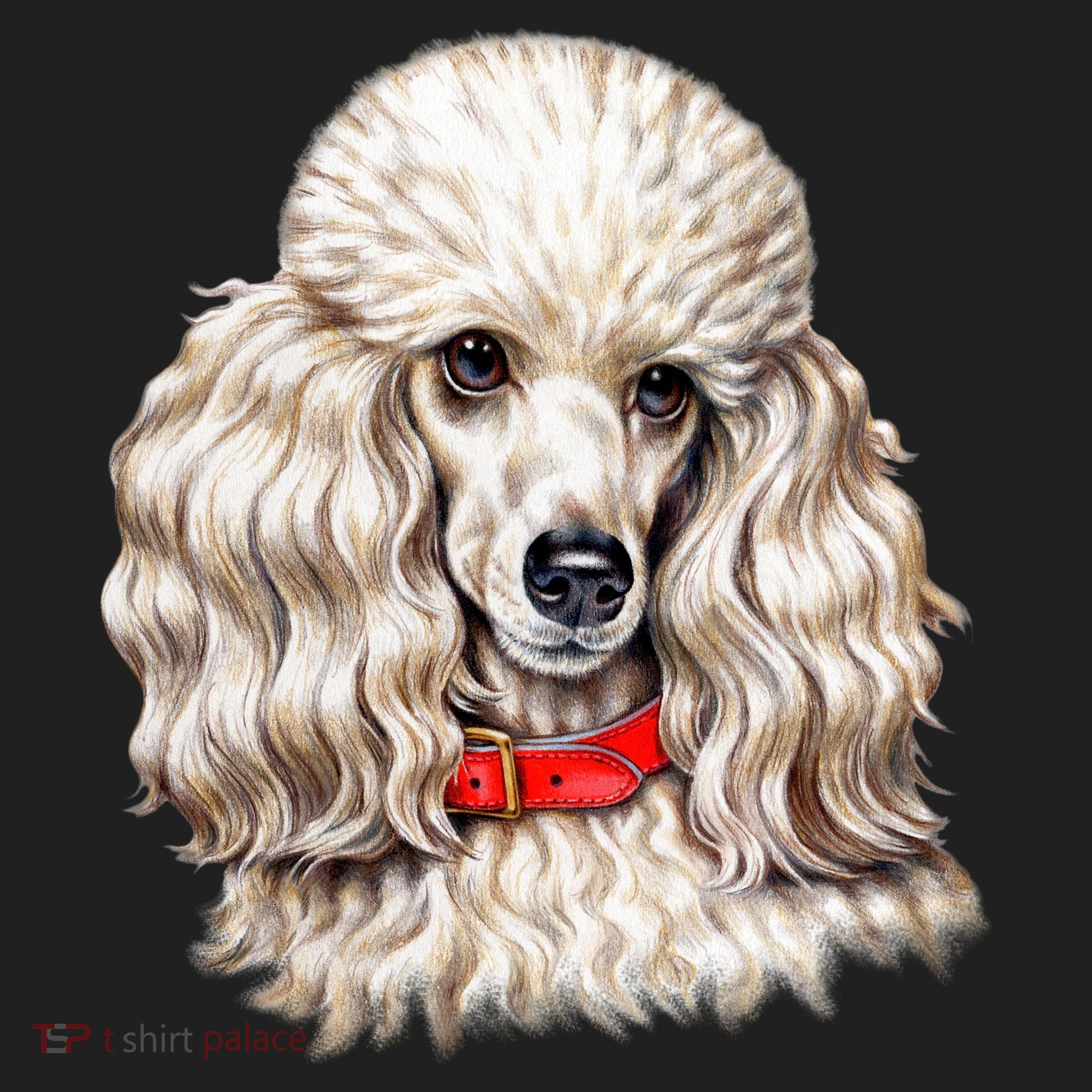 Toy Poodle Hat