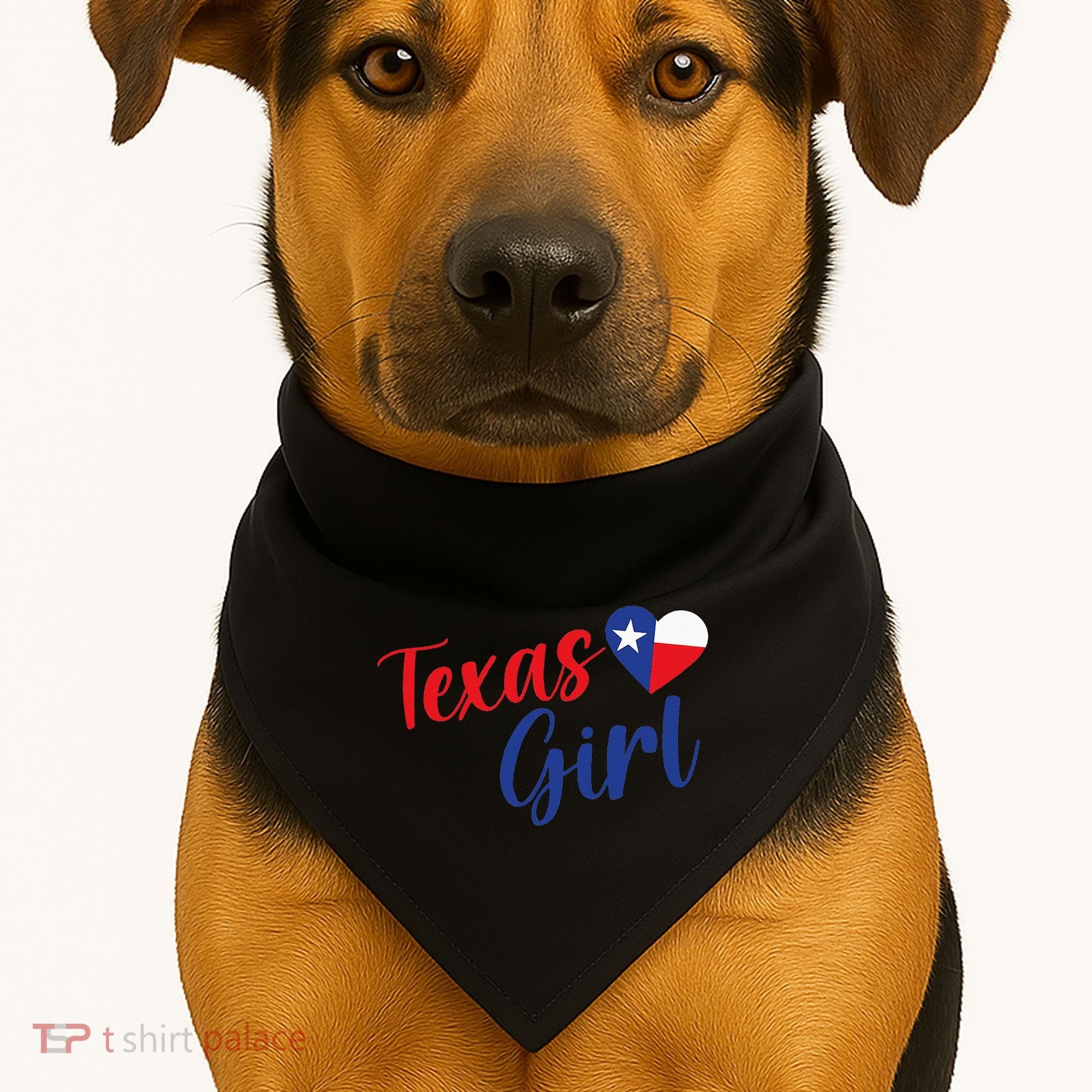 Texas Pride Cute Home State Texas USA-Made Doggie Bandana
