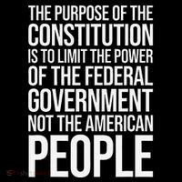 The Purpose Constitution Is Limit Power Of The Federal Coffee Mug thumb 5