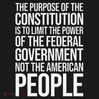 The Purpose Constitution Is Limit Power Of The Federal Coaster thumb 2