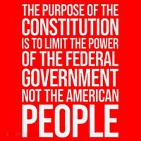 The Purpose Constitution Is Limit Power Of The Federal Santa Hat thumb 1