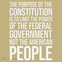 The Purpose Constitution Is Limit Power Of The Federal Sweatshirt thumb 2