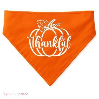 Thankful Pumpkin Cute Cozy USA-Made Doggie Bandana