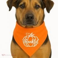 Thankful Pumpkin Cute Cozy USA-Made Doggie Bandana thumb 1
