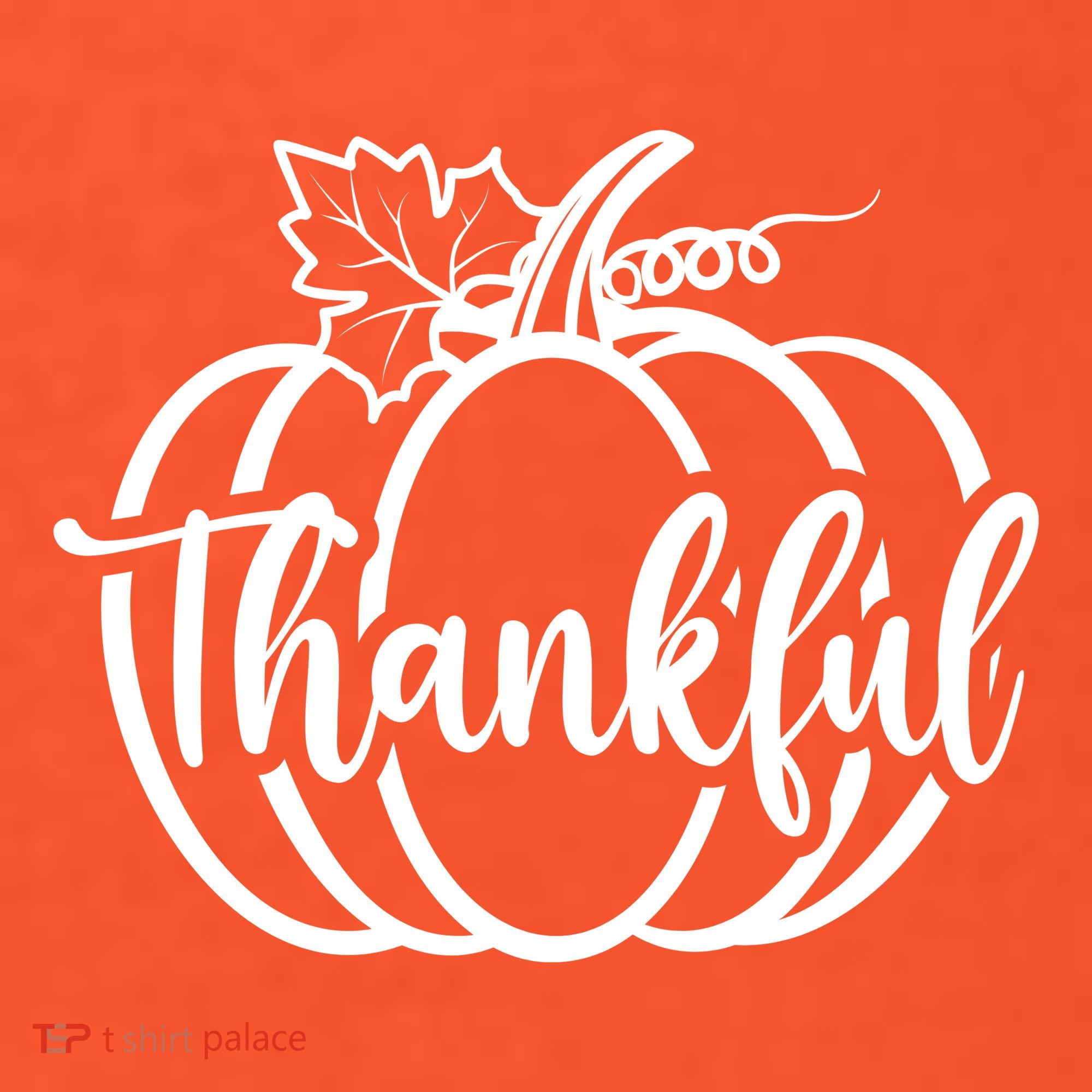 Thankful Pumpkin Cute Cozy Long Sleeve Shirt