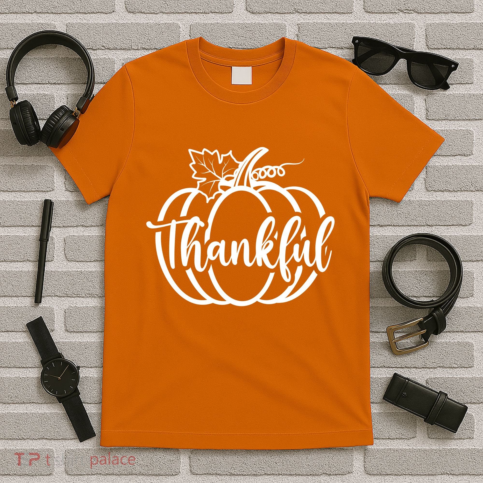 Thankful Pumpkin Cute Cozy T-Shirt