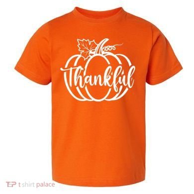 Thankful Pumpkin Cute Cozy Toddler T-Shirt