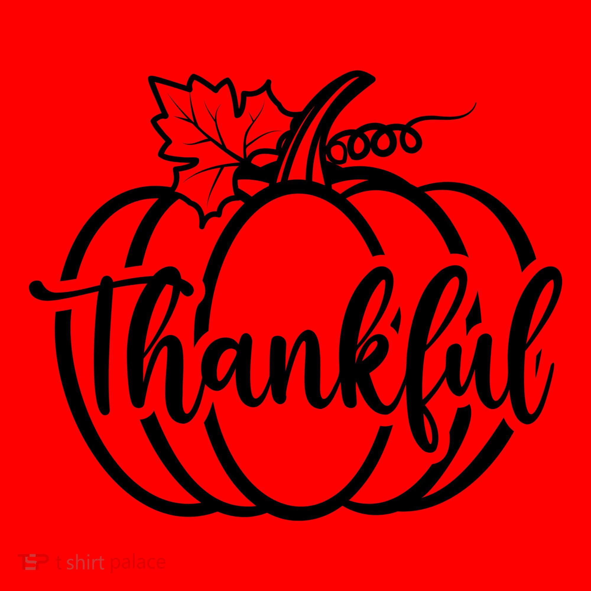 Thankful Pumpkin Cute Cozy Santa Hat