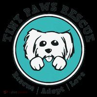 Tiny Paws Dog Logo Toddler T-Shirt thumb 4
