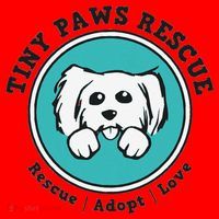 Tiny Paws Dog Logo Santa Hat thumb 1
