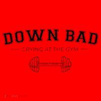 Tortured Poets Down Bad Crying At The Gym Santa Hat thumb 1