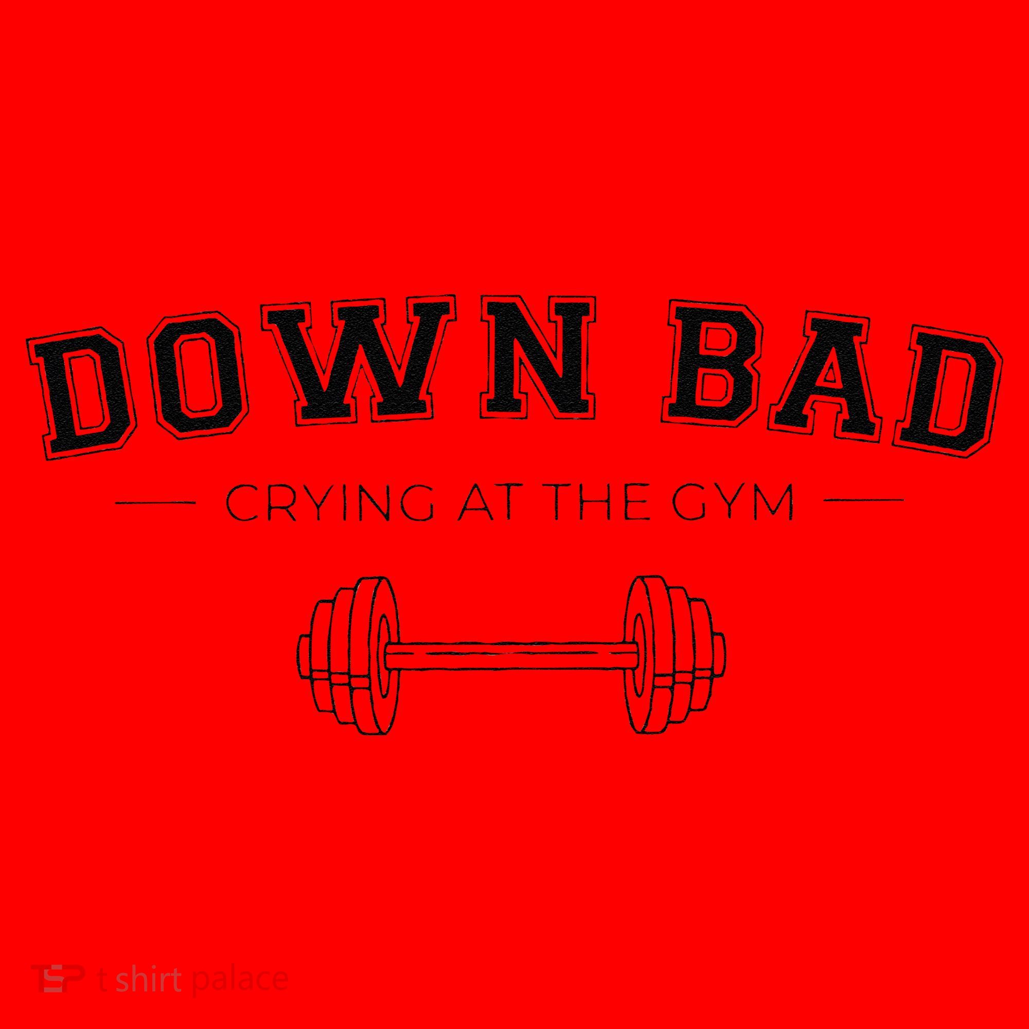 Tortured Poets Down Bad Crying At The Gym Santa Hat