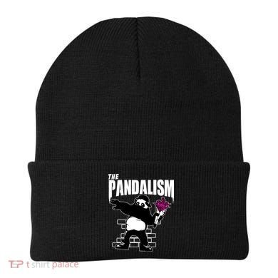 The Pandalism Funny Panda Parody Beanie