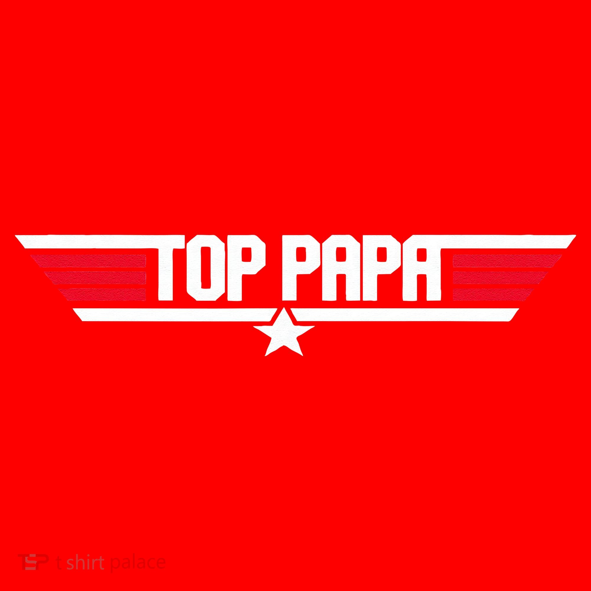 Top Papa Funny Dad Grandpa Fathers Day Gift Santa Hat
