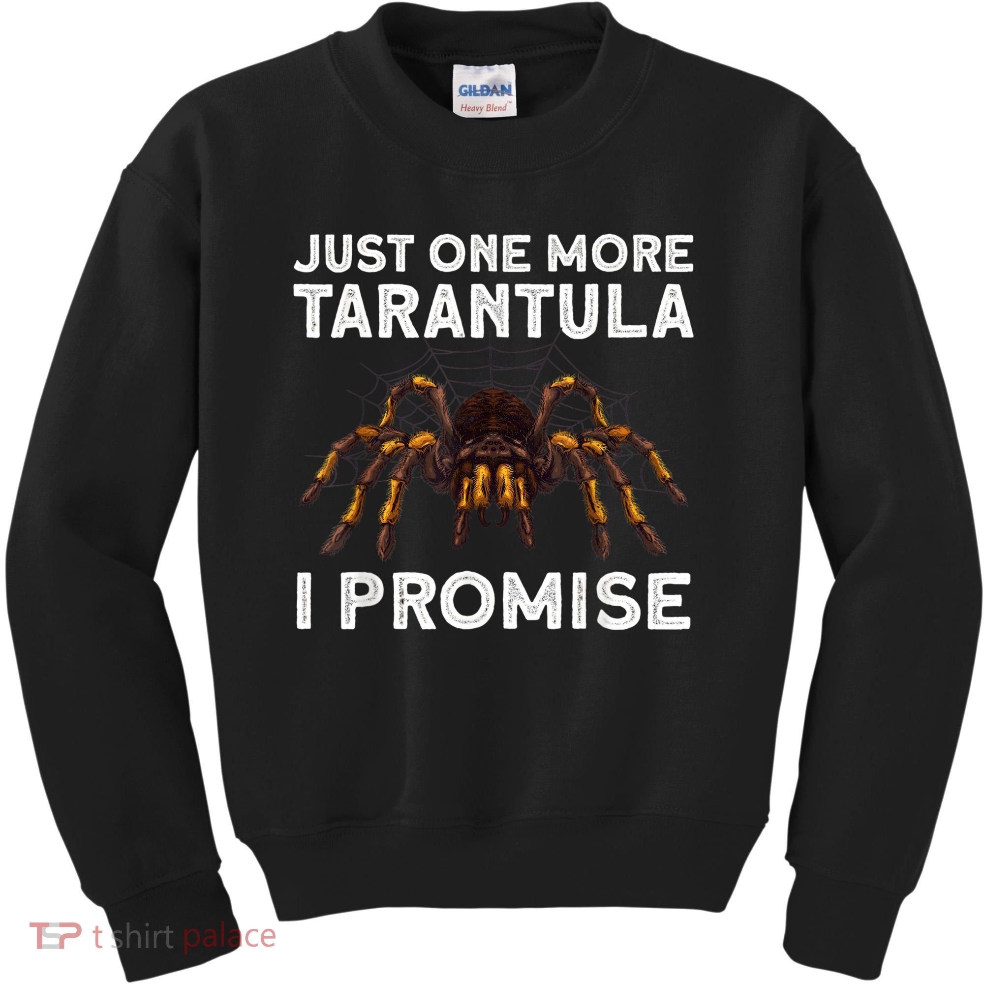 Tarantula Pet Holder Just One More I Promise Kids Sweatshirt