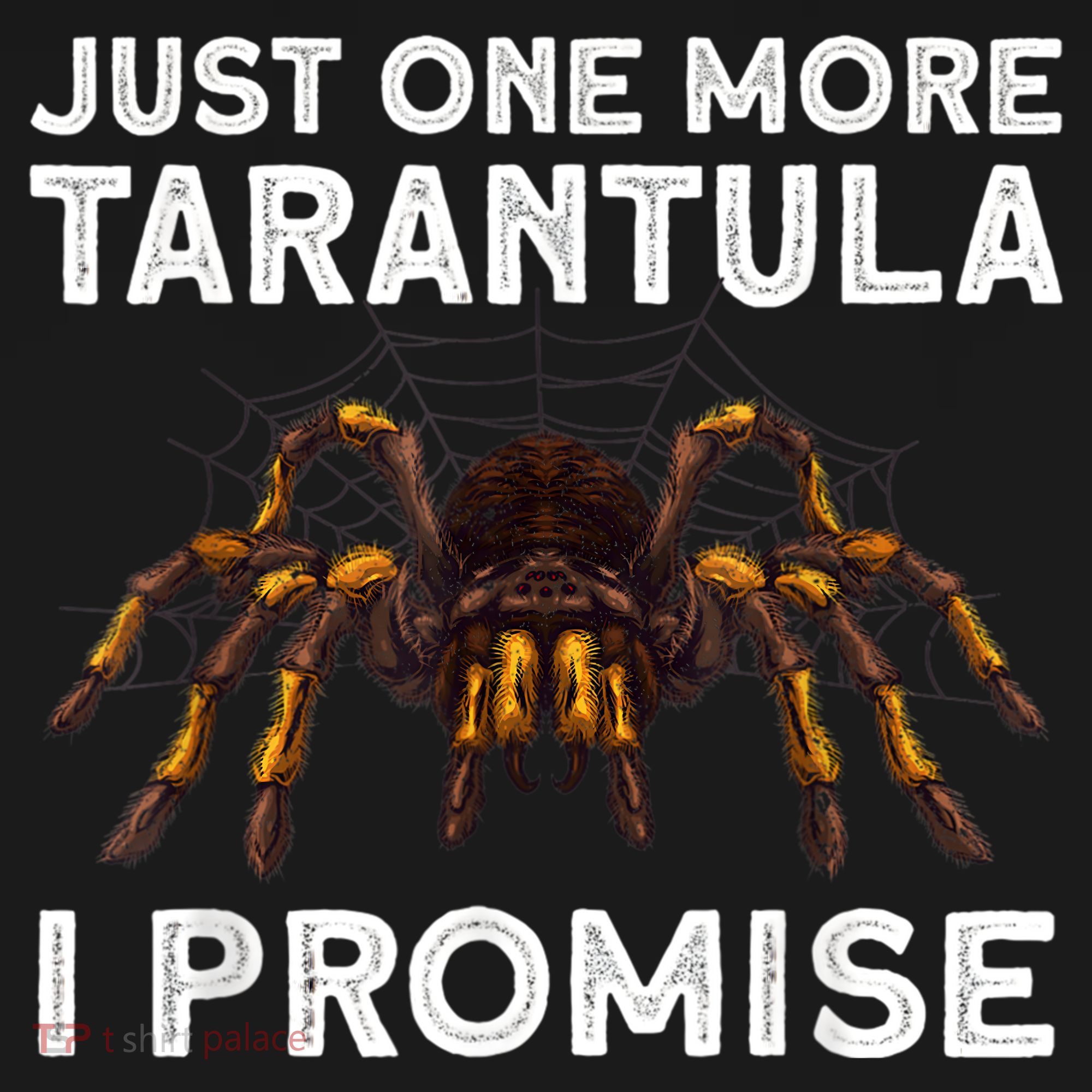 Tarantula Pet Holder Just One More I Promise Kids Sweatshirt
