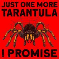 Tarantula Pet Holder Just One More I Promise Santa Hat thumb 1