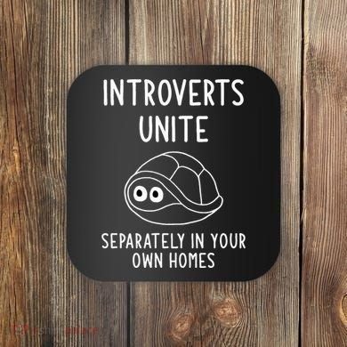 Turtle Pun Introverts Unite Funny Jokes Sarcastic Coaster