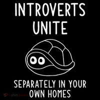 Turtle Pun Introverts Unite Funny Jokes Sarcastic Women's Hoodie thumb 2