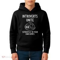 Turtle Pun Introverts Unite Funny Jokes Sarcastic Kids Hoodie thumb 4