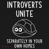 Turtle Pun Introverts Unite Funny Jokes Sarcastic Kids Long Sleeve Shirt thumb 2