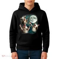 Three Possum Moon | 3 Opossum Funny Weird Cursed Meme Kids Hoodie thumb 4