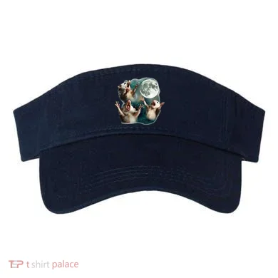 Visor