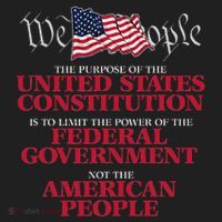 The Purpose Of The United States Constitution Beanie thumb 2