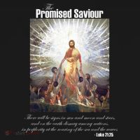 The Promised Saviour Luke Bible Quote Jesus Pray For Peace Women's Tank Top thumb 5