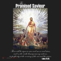 The Promised Saviour Luke Bible Quote Jesus Pray For Peace Golf Towel thumb 3
