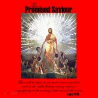 The Promised Saviour Luke Bible Quote Jesus Pray For Peace Santa Hat thumb 1